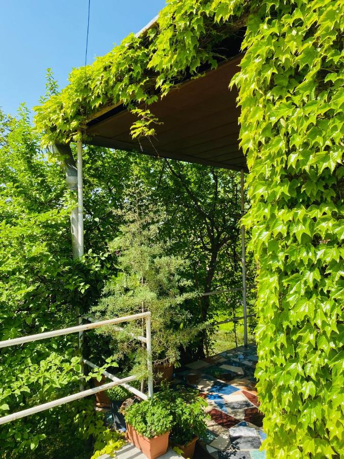 Green House Hotel Lagodekhi Luaran gambar